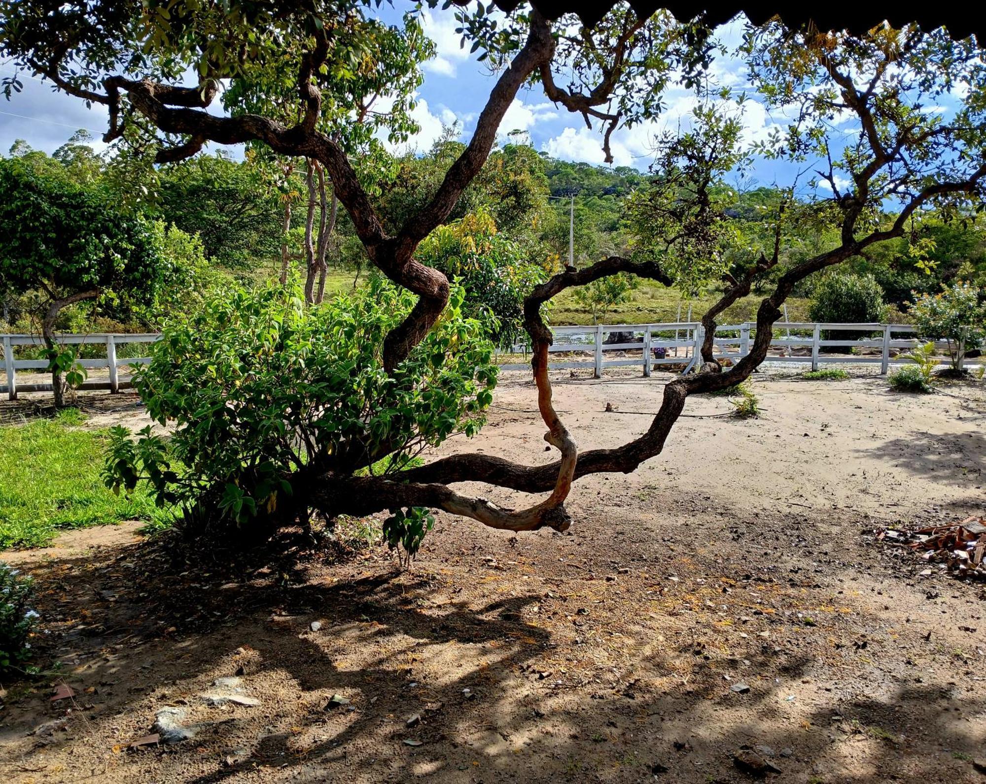Maria Bonita Eco Holiday home Diamantina