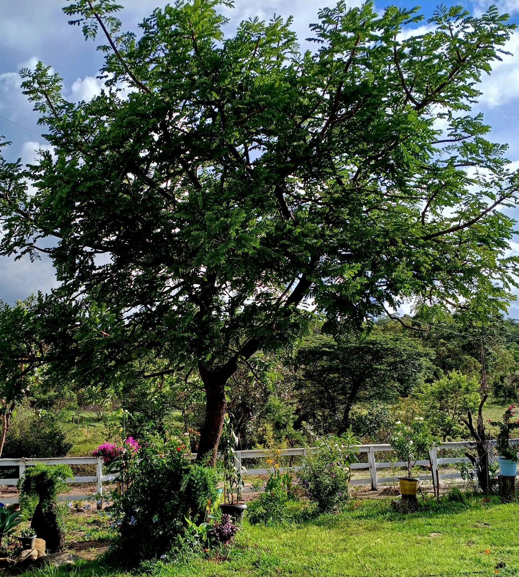 Holiday home Maria Bonita Eco Diamantina
